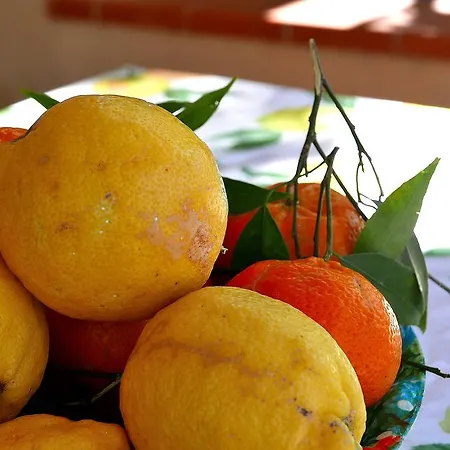 Sicily By Dreams Casa vacanze *